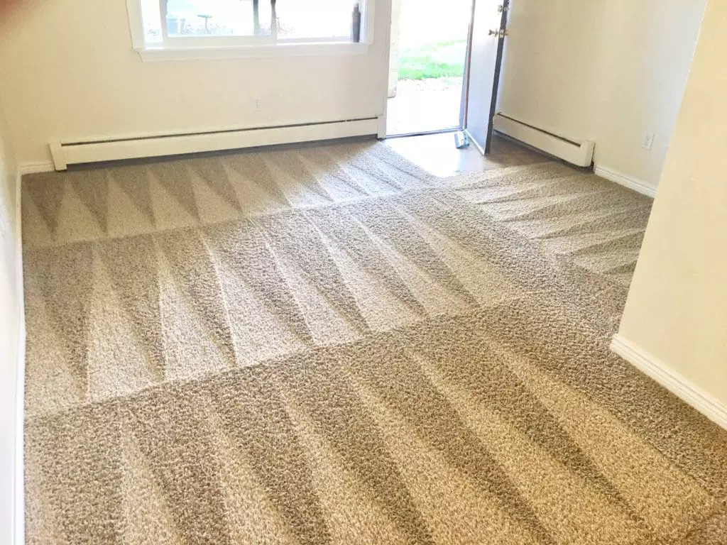 Freshly cleaned carpet with vacuum grooming patterns in an empty room